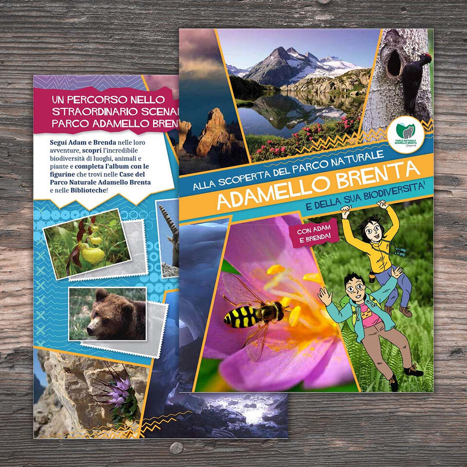 Album di figurine PNAB